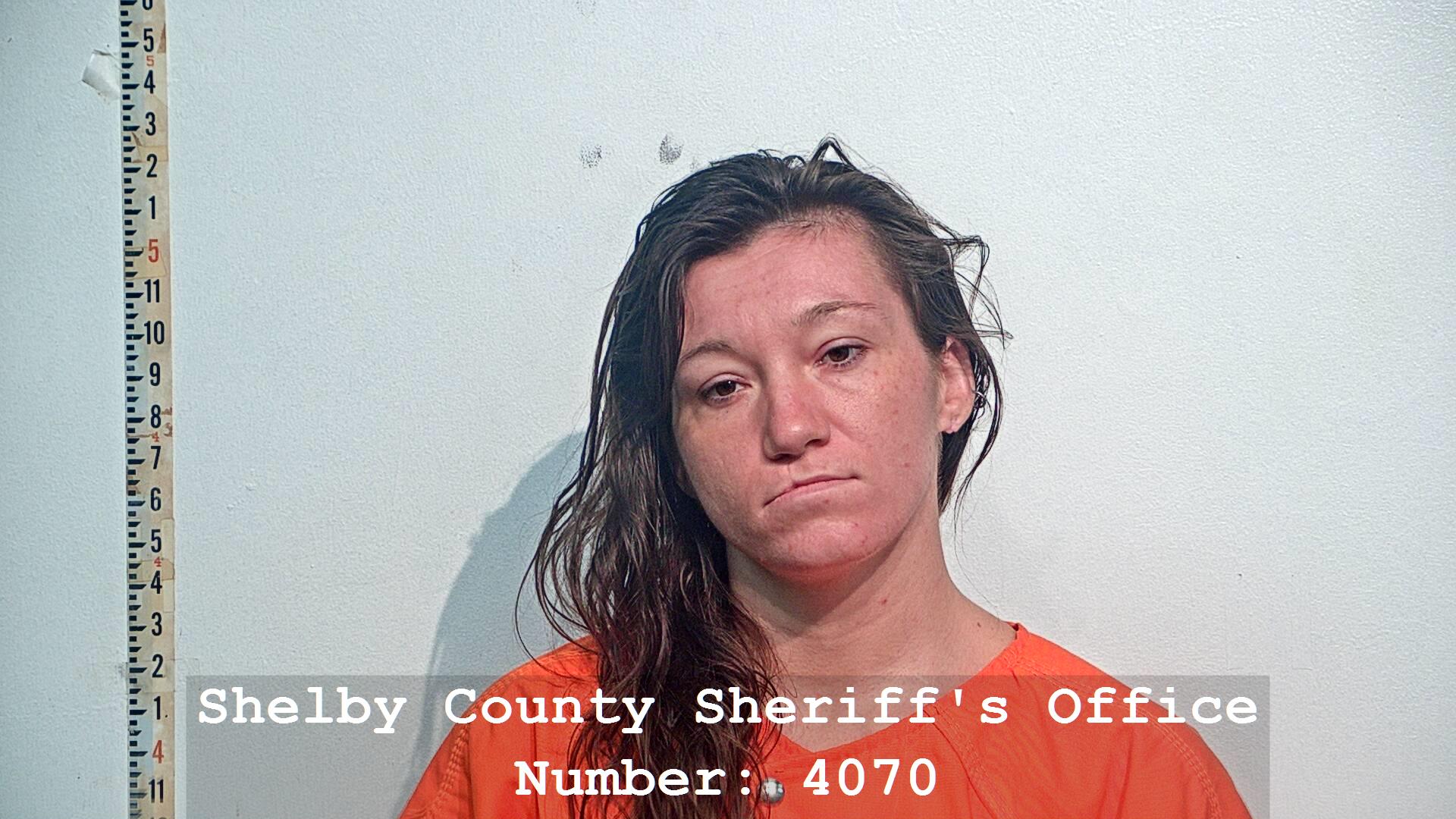 Jail Bookings - Shelby County Sheriff